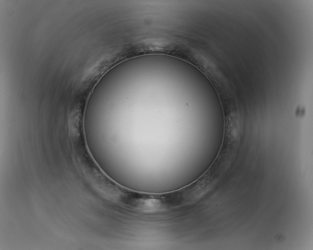 X0000114000509200910021319