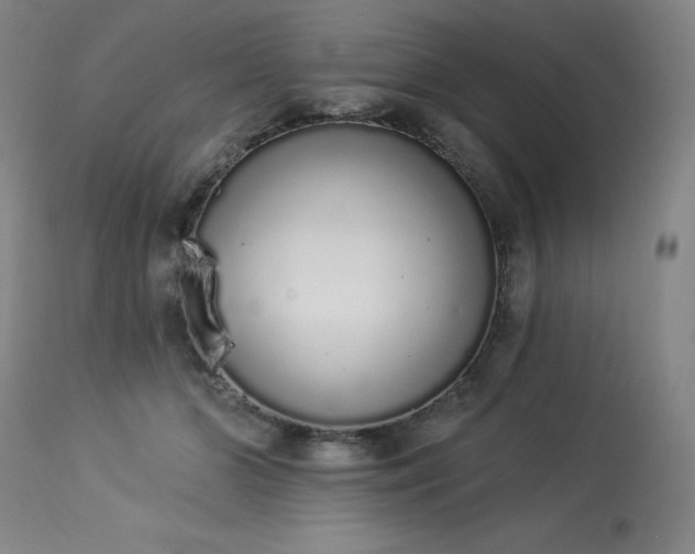 X0000114000510200910021319