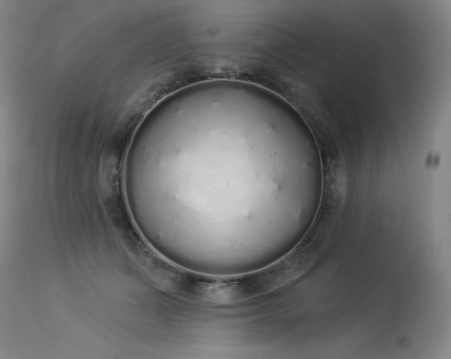 X0000114000511200910021319