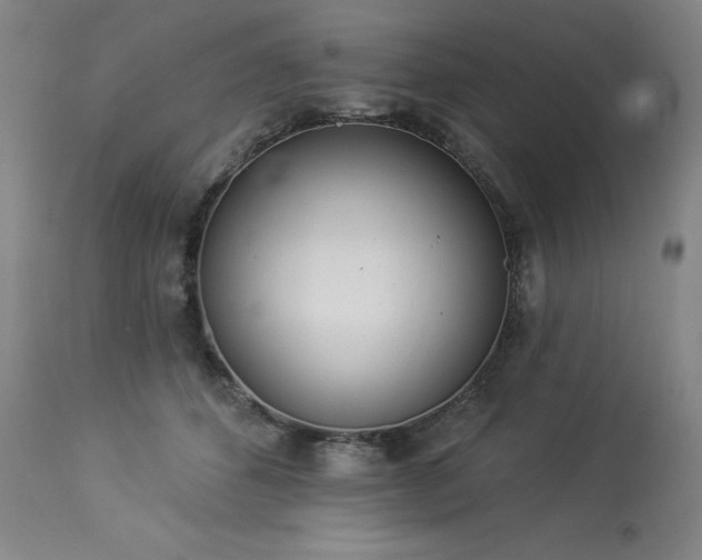 X0000114000512200910021319