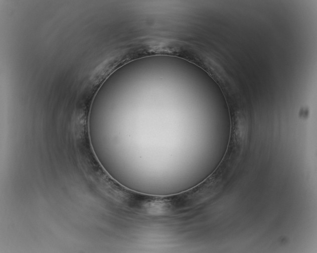 X0000114000513200910021319