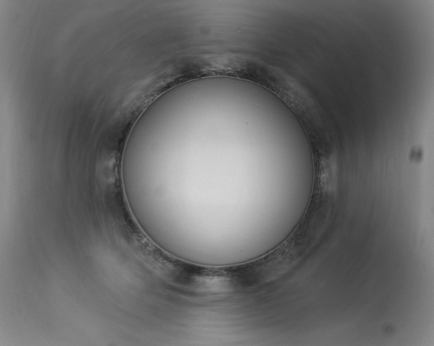 X0000114000514200910021319