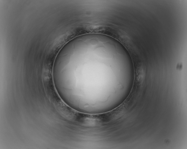 X0000114000515200910021319
