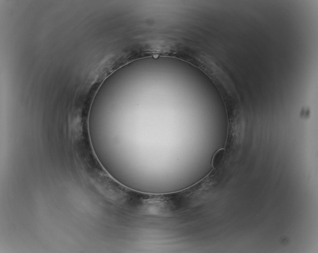 X0000114000516200910021319