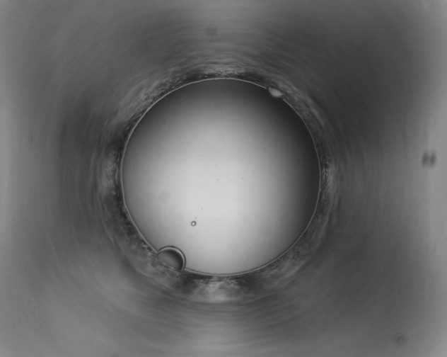 X0000114000517200910021319