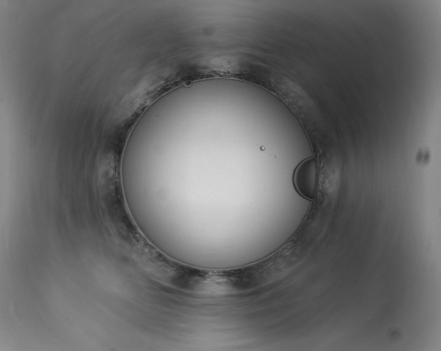 X0000114000518200910021319
