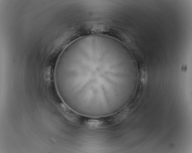 X0000114000519200910021319