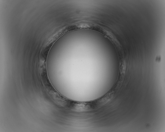 X0000114000521200910021319