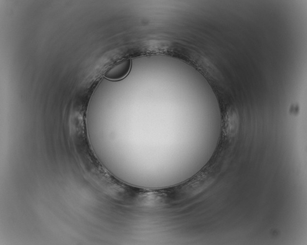 X0000114000522200910021319