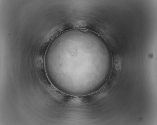 X0000114000523200910021319