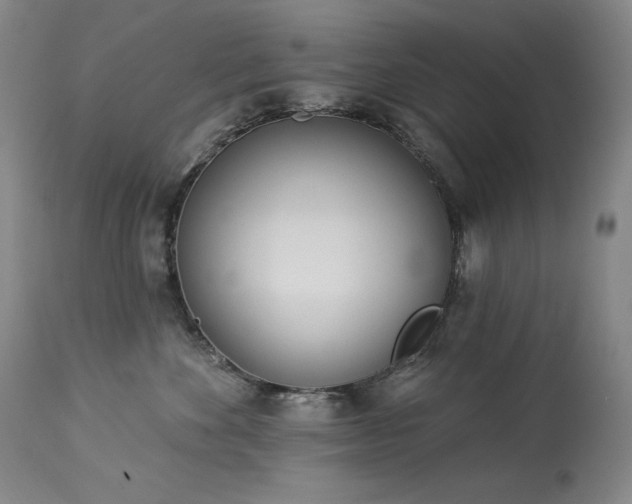 X0000114000524200910021319