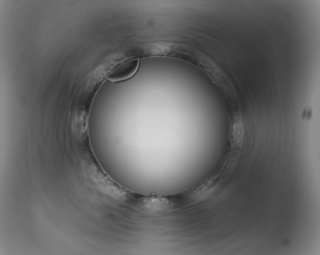 X0000114000525200910021319