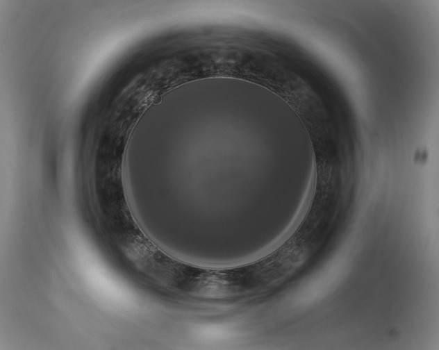 X0000114000526200910021319