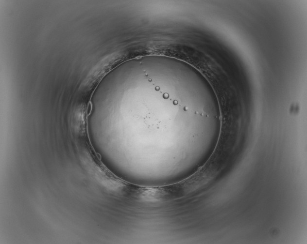 X0000114000527200910021319