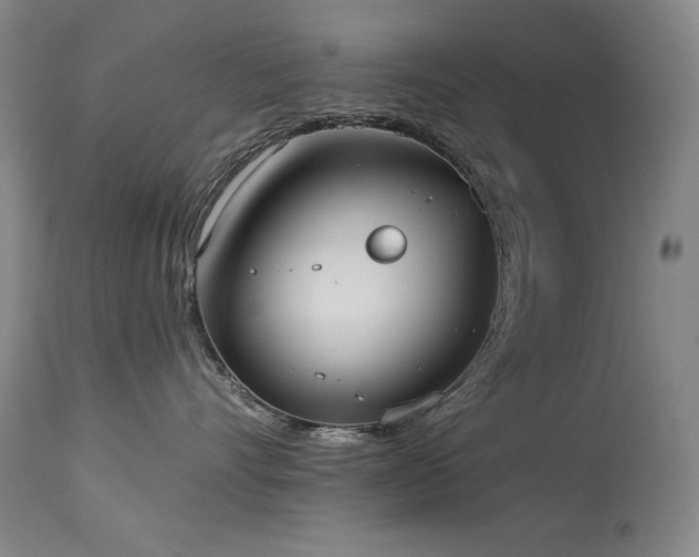 X0000114000528200910021319