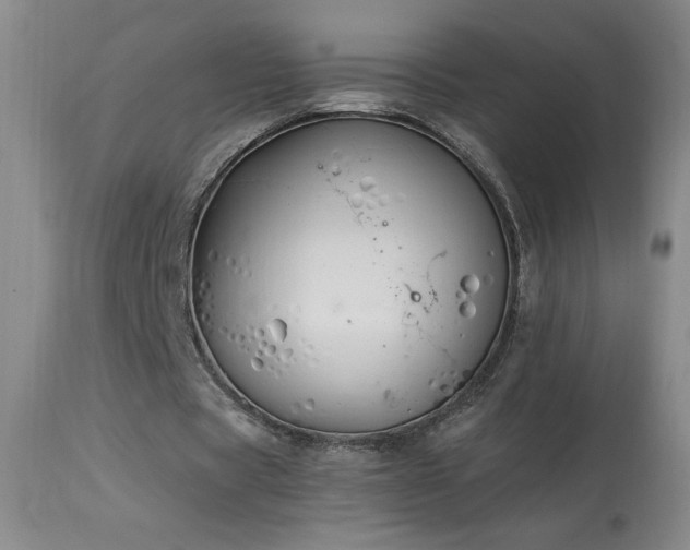 X0000114000529200910021318