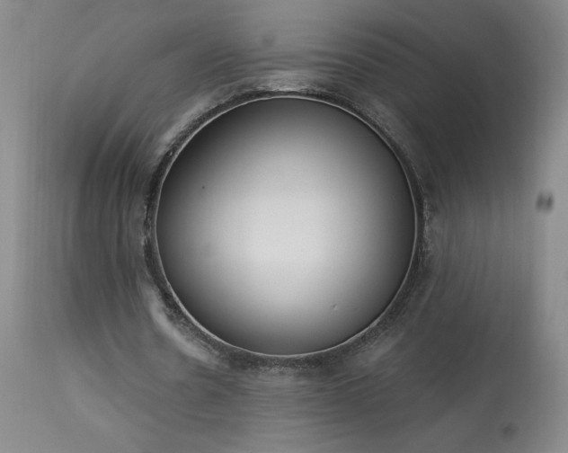 X0000114000530200910021318