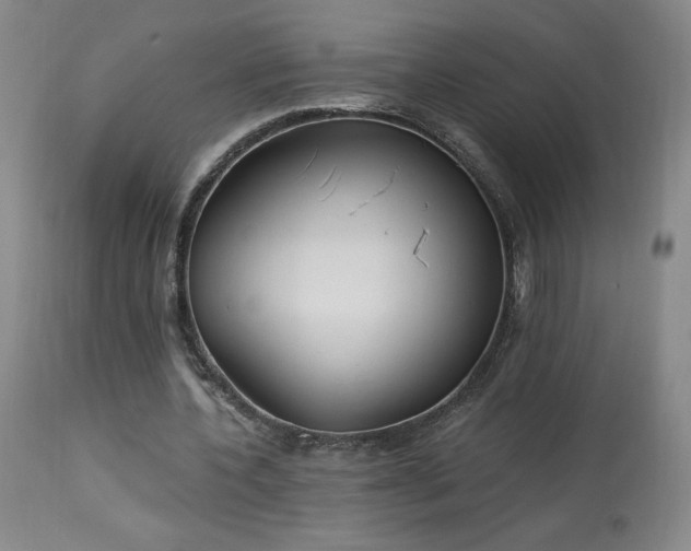 X0000114000532200910021318