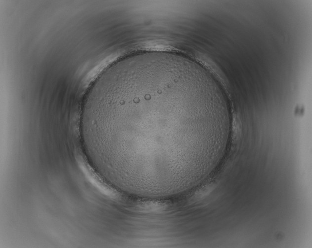 X0000114000533200910021318