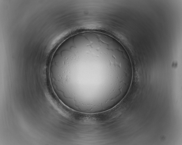 X0000114000535200910021318