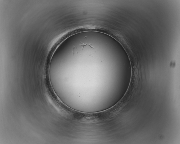 X0000114000536200910021318