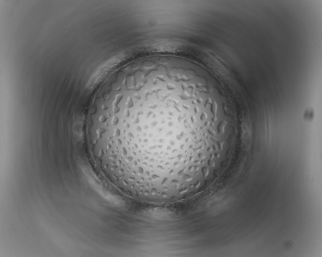 X0000114000537200910021318