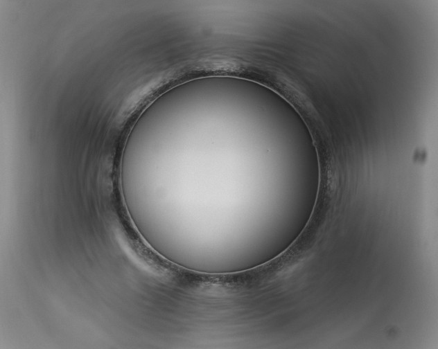 X0000114000538200910021318