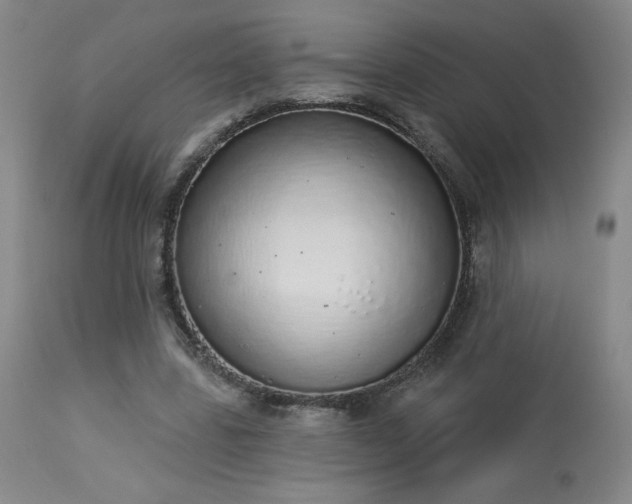X0000114000539200910021318