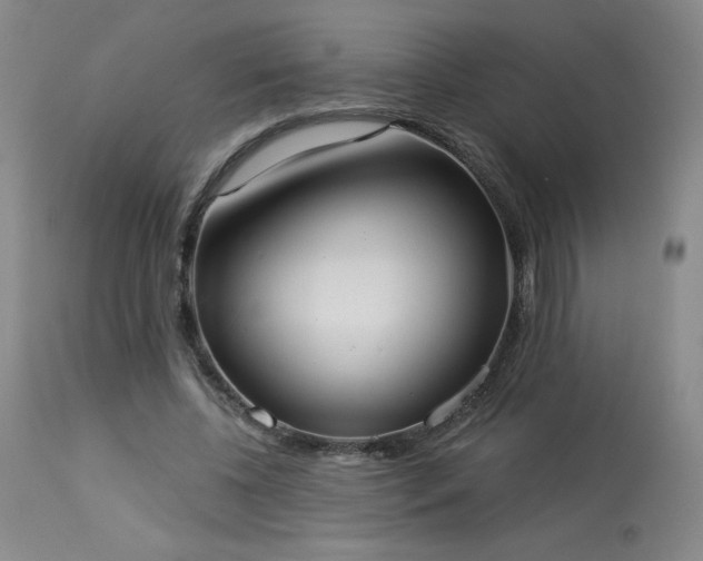 X0000114000540200910021318