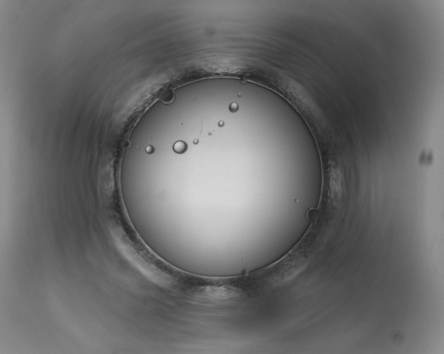 X0000114000541200910021318