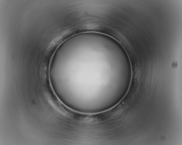X0000114000542200910021318