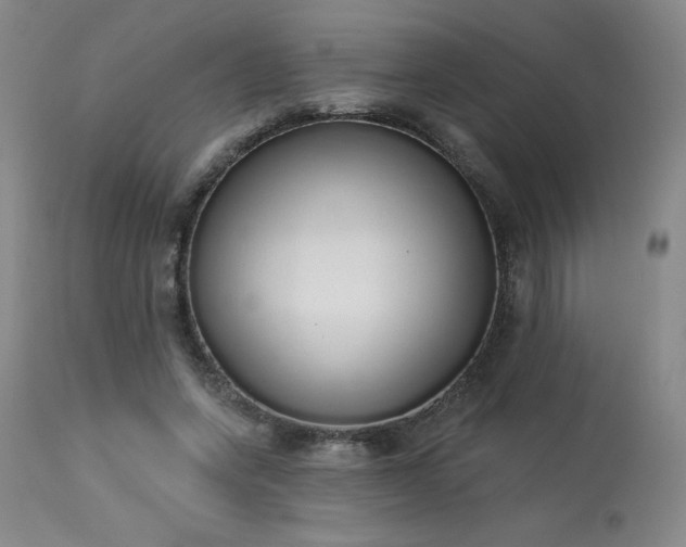 X0000114000543200910021318