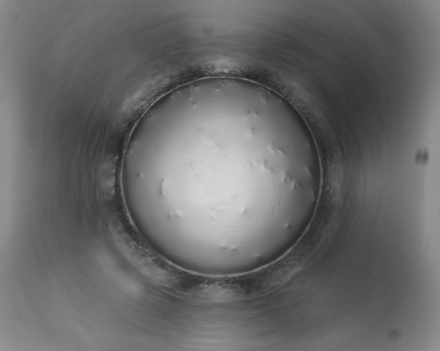X0000114000545200910021318