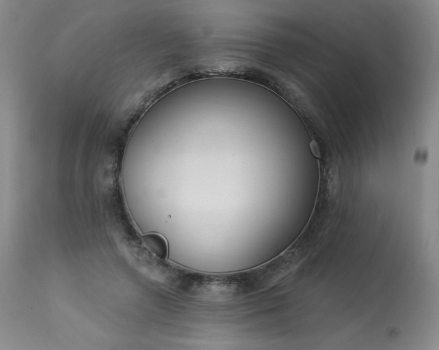 X0000114000546200910021318