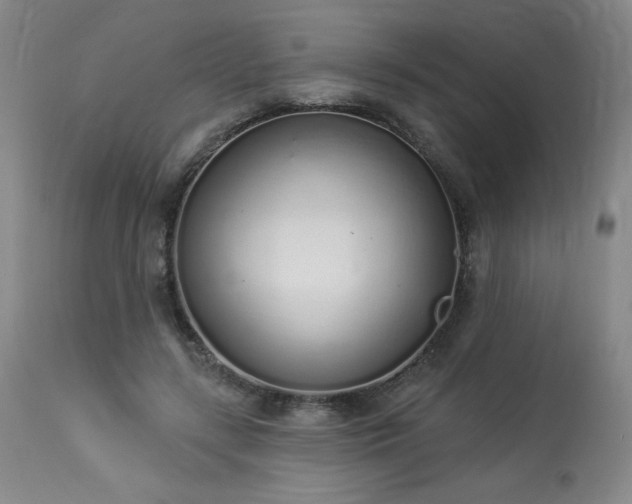 X0000114000547200910021318
