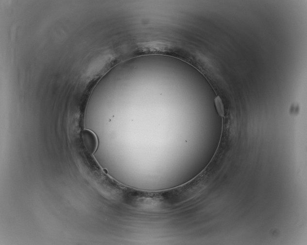 X0000114000548200910021318