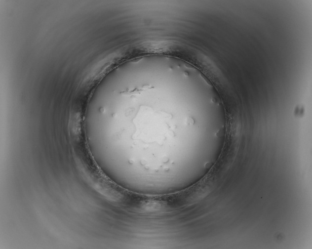 X0000114000549200910021318