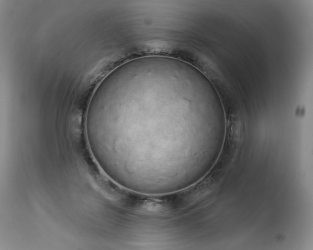 X0000114000550200910021319