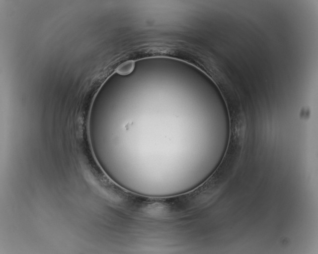 X0000114000551200910021319