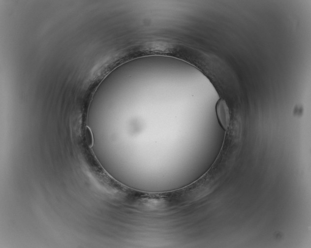 X0000114000552200910021319