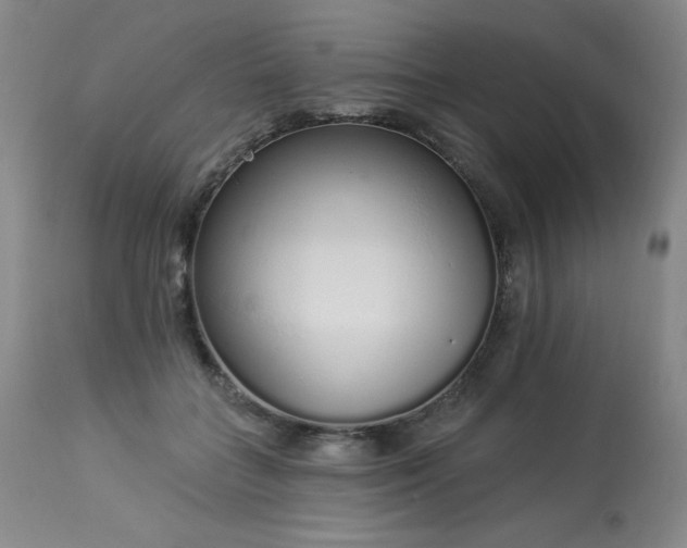 X0000114000555200910021319