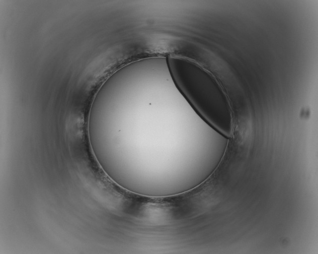 X0000114000556200910021319