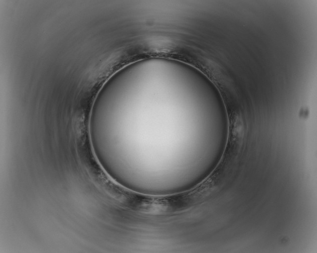 X0000114000559200910021319