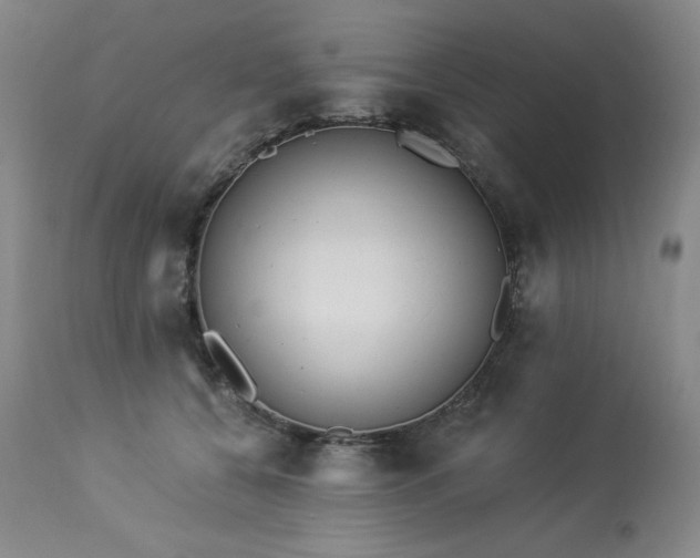 X0000114000560200910021319