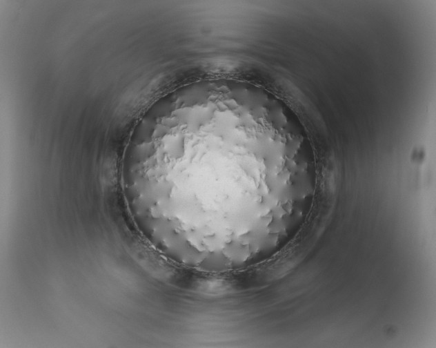 X0000114000561200910021319