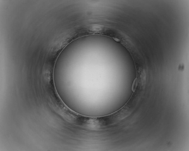 X0000114000562200910021319