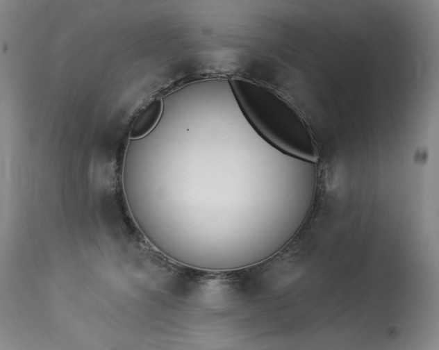 X0000114000564200910021319