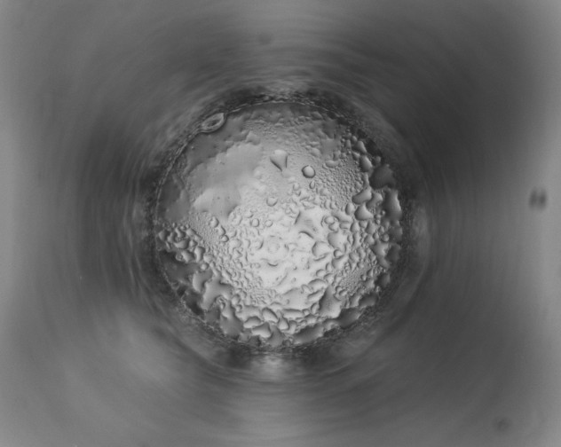 X0000114000565200910021319
