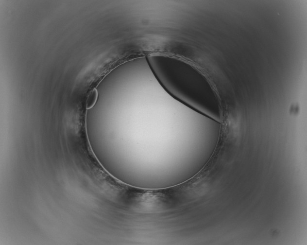 X0000114000566200910021319
