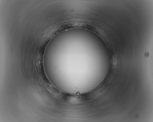 X0000114000567200910021319